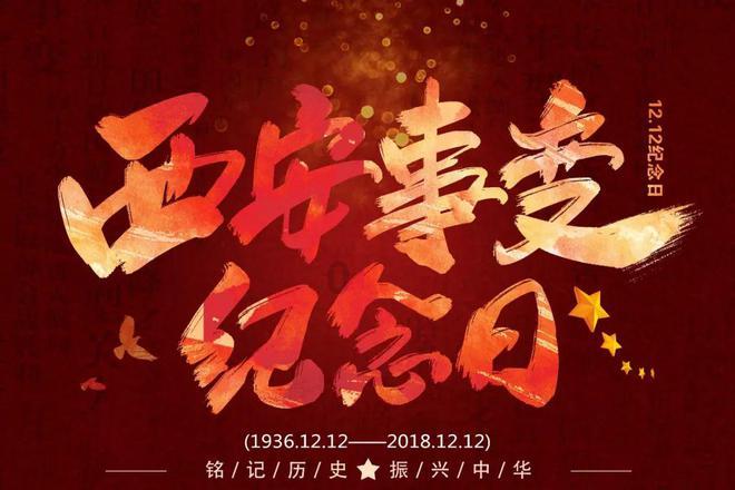 救援有趣的孔雀
