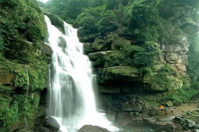 毕节:税惠添力年货市场红红火火