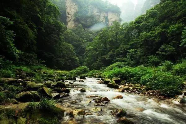 溥仪是清朝最后一个皇帝，他买门票进故宫时是什么心情？游戏画面